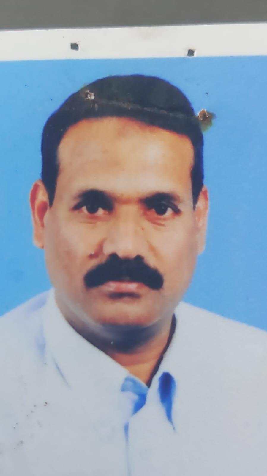 Teachers